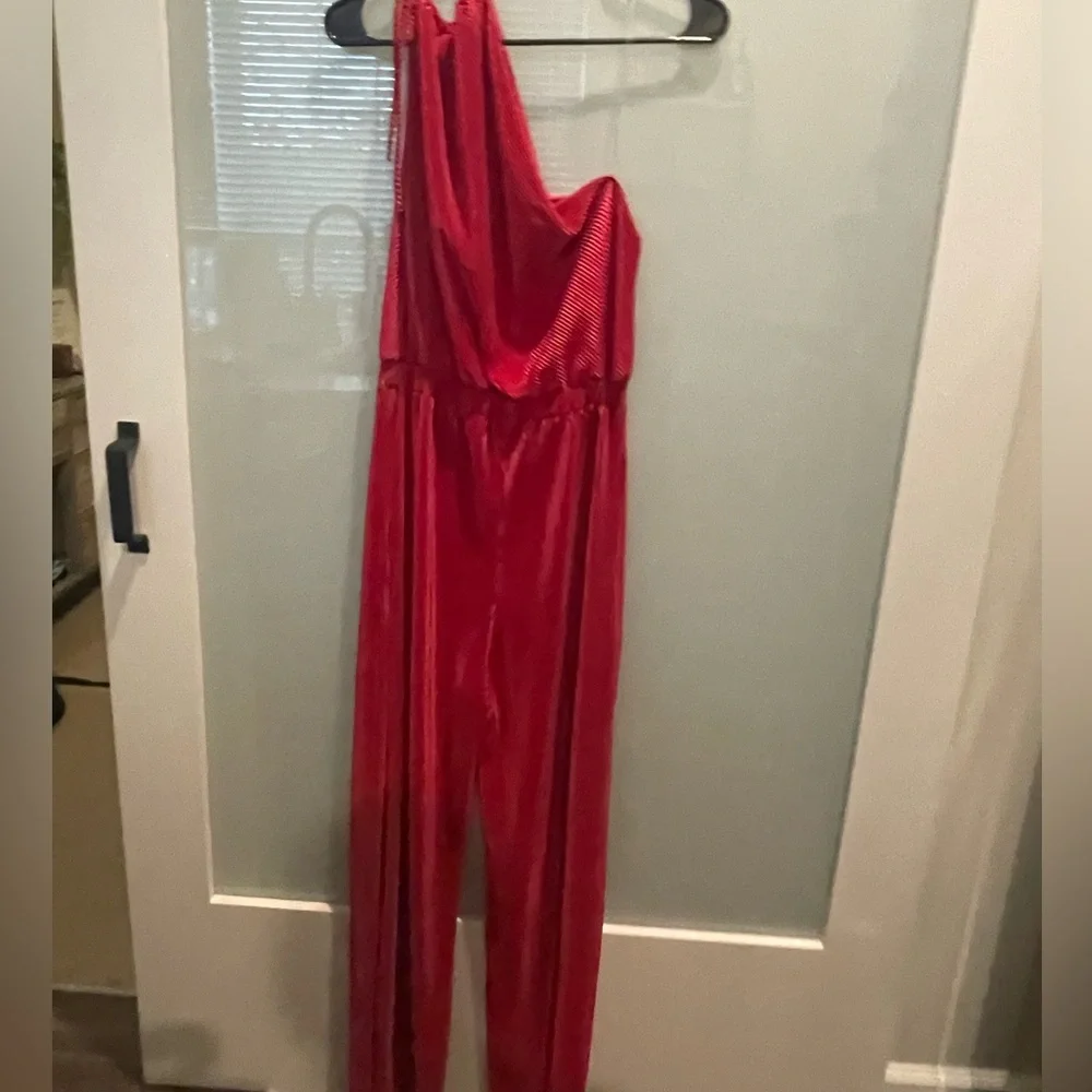 NEW Raspberry Jumpsuit - Picture 4 of 8